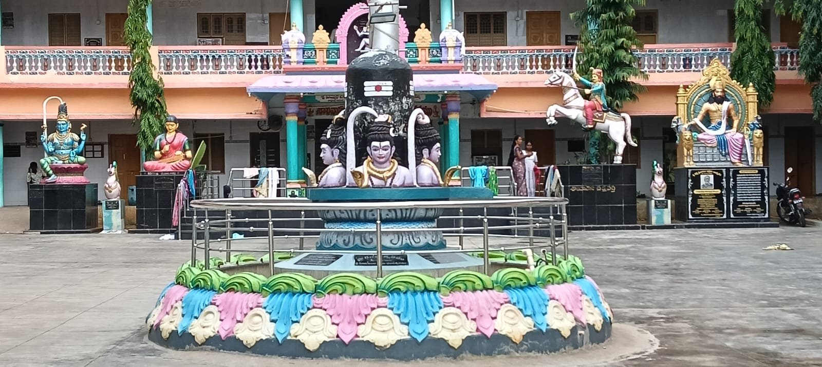 gallery image 7